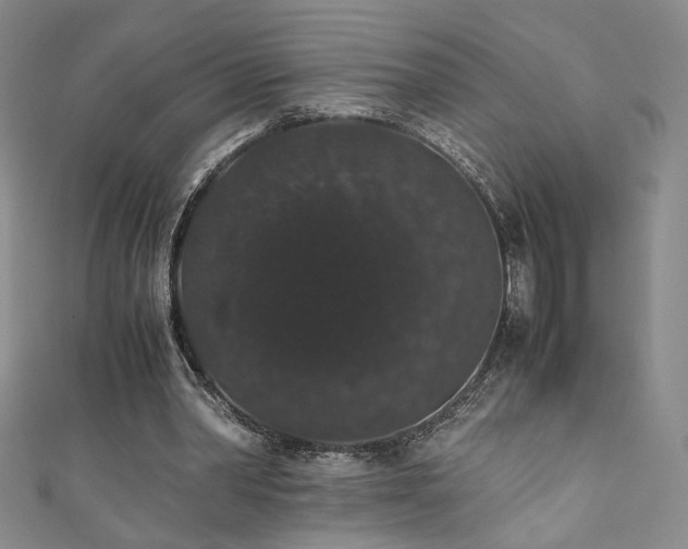 X0000111880390200907231539