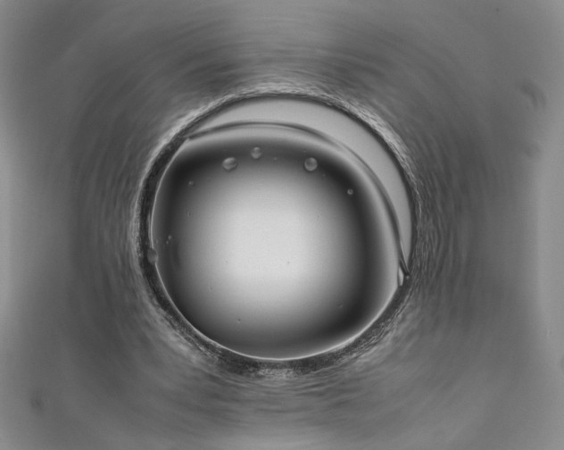 X0000111880391200907231539