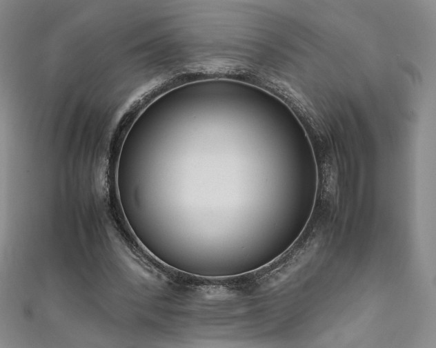 X0000111880392200907231539