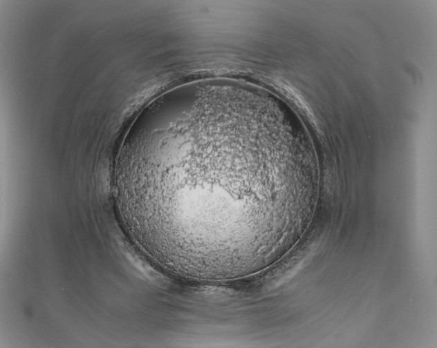X0000111880393200907231539