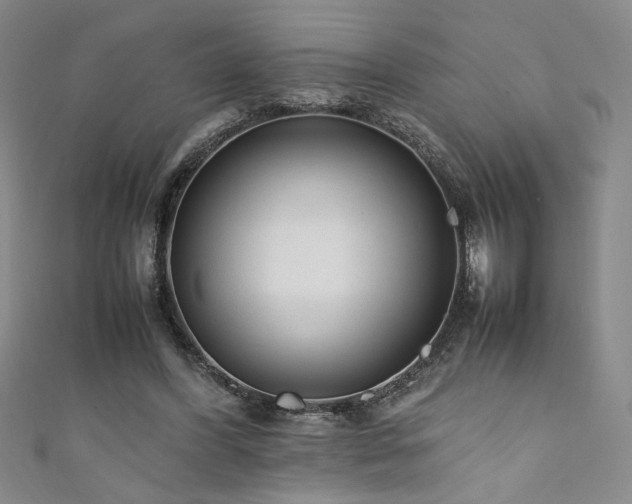 X0000111880396200907231539
