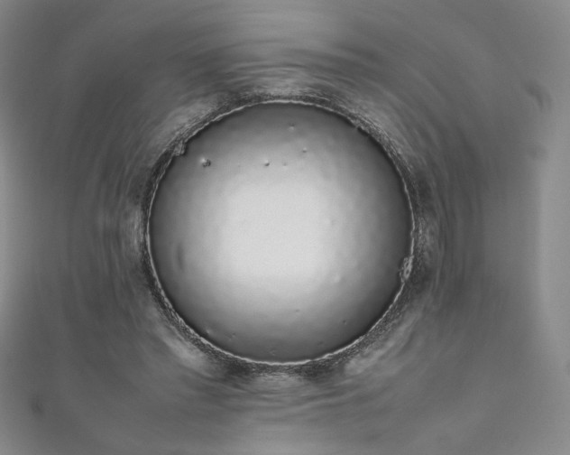 X0000111880397200907231539