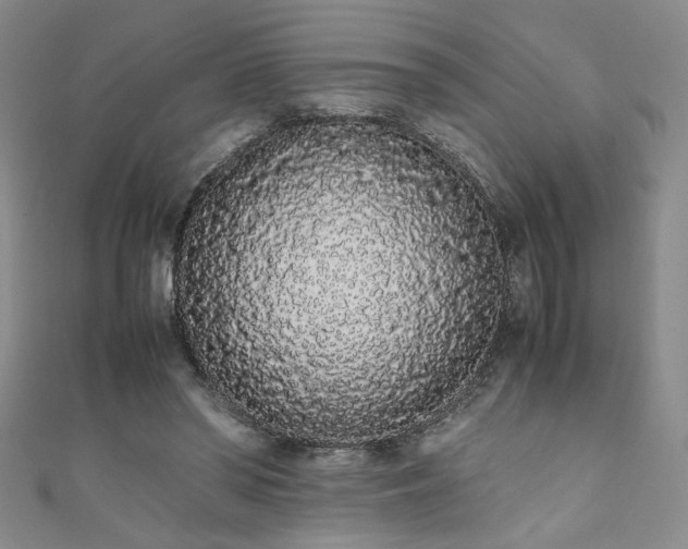X0000111880398200907231539