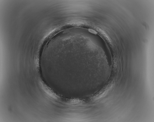 X0000111880399200907231539