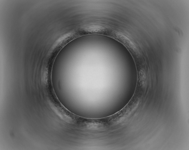 X0000111880400200907231539