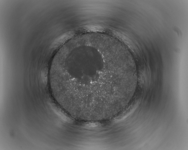 X0000111880402200907231539