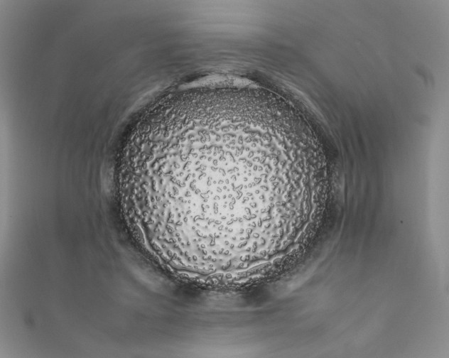 X0000111880403200907231539