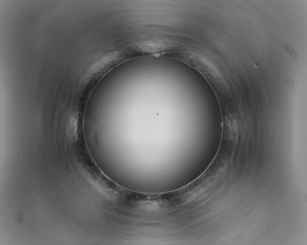 X0000111880404200907231539