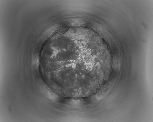 X0000111880405200907231539