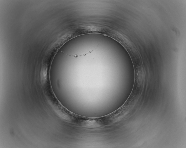 X0000111880406200907231539