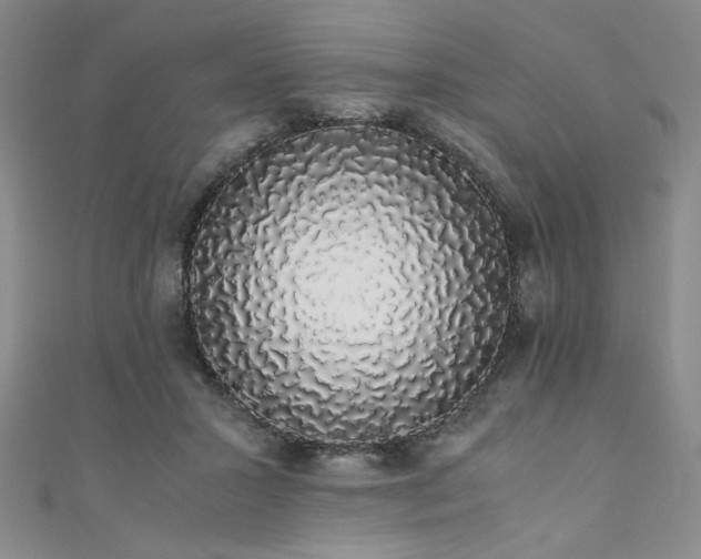 X0000111880407200907231539