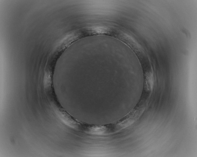 X0000111880410200907231539