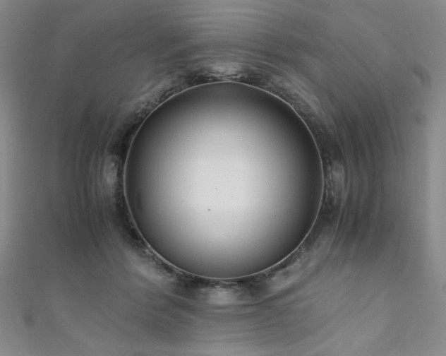 X0000111880412200907231539