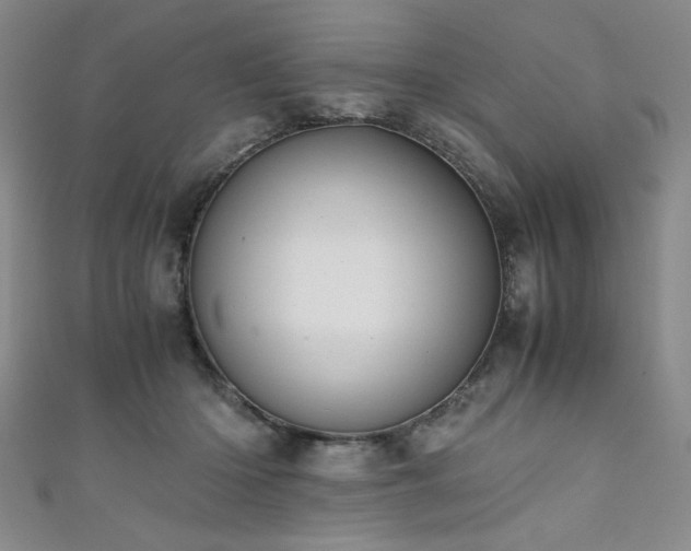 X0000111880414200907231539