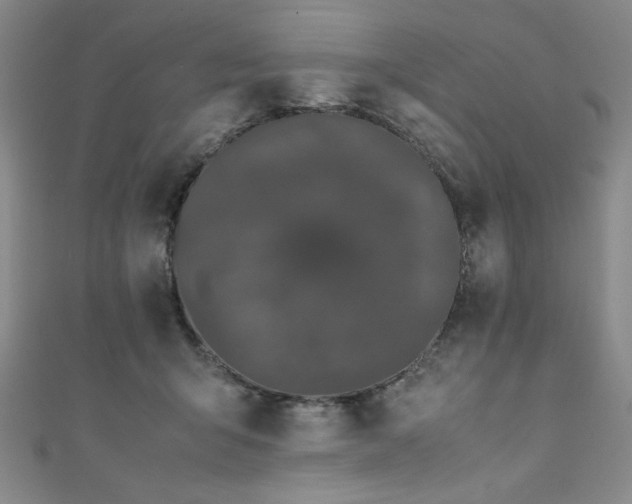X0000111880415200907231539