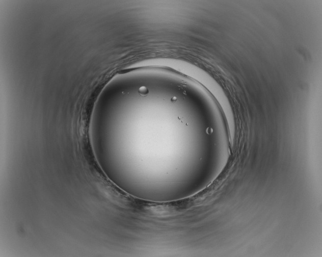 X0000111880417200907231539