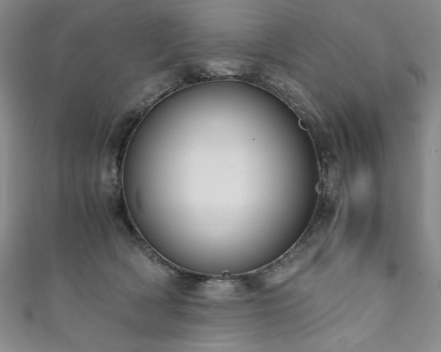 X0000111880418200907231539
