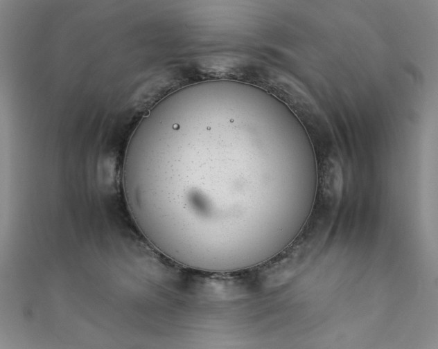 X0000111880420200907231539