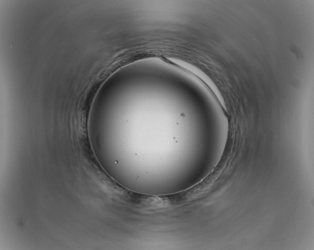 X0000111880421200907231539