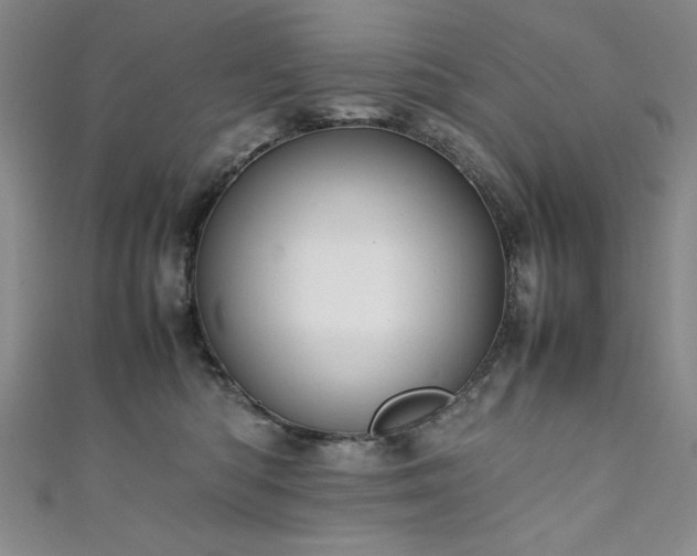 X0000111880422200907231539