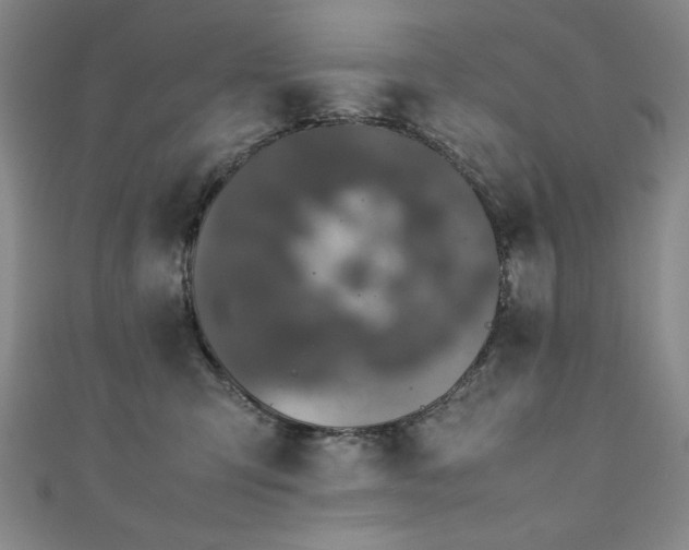 X0000111880423200907231539