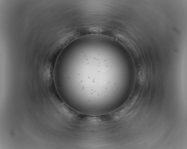 X0000111880424200907231539