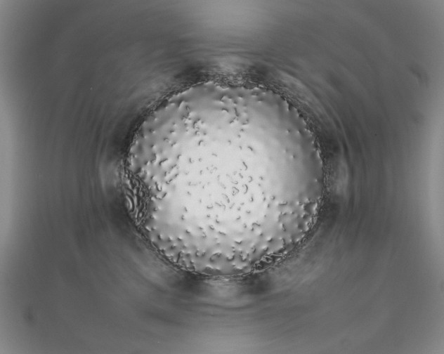 X0000111880425200907231539