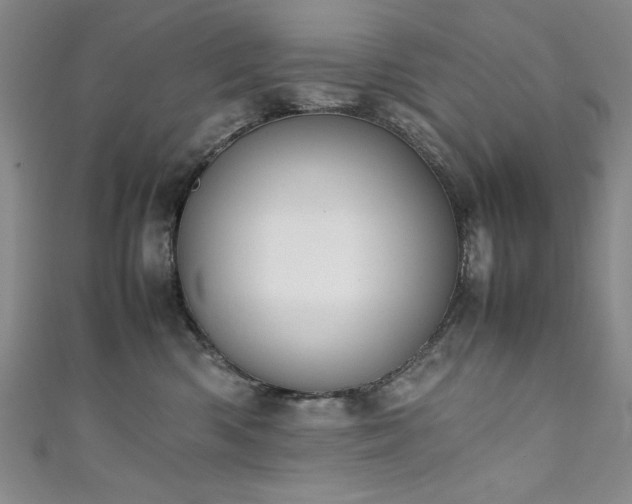 X0000111880426200907231539