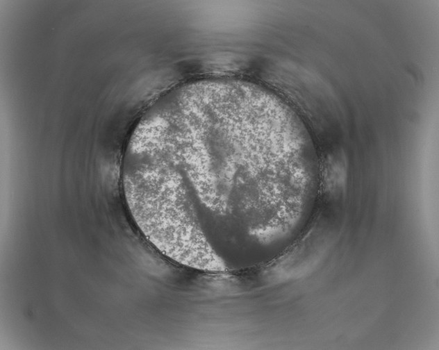 X0000111880427200907231539