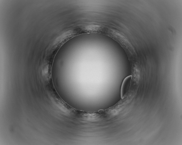 X0000111880428200907231539