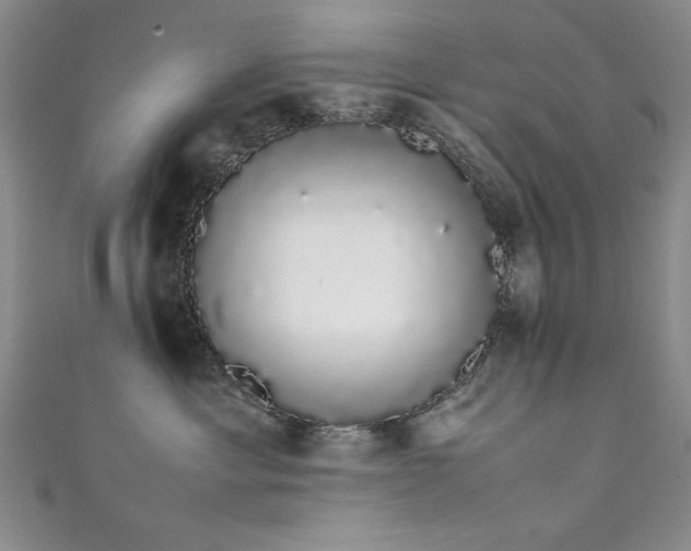 X0000111880429200907231539