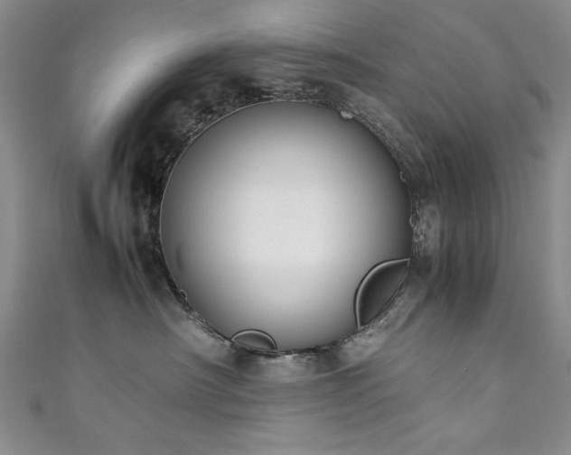 X0000111880430200907231539