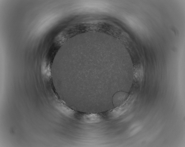 X0000111880431200907231539