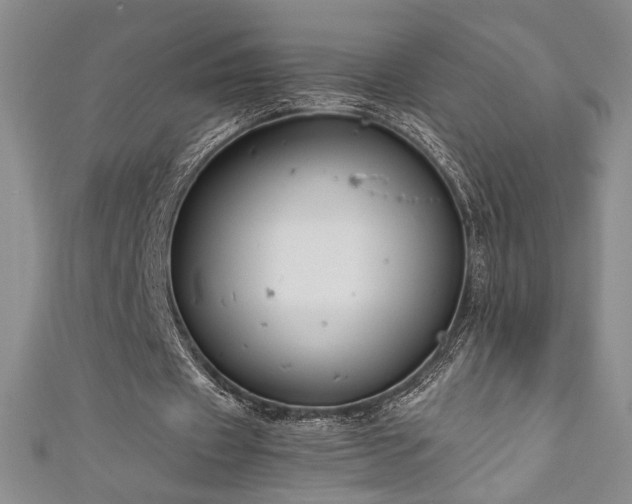 X0000111880433200907231538