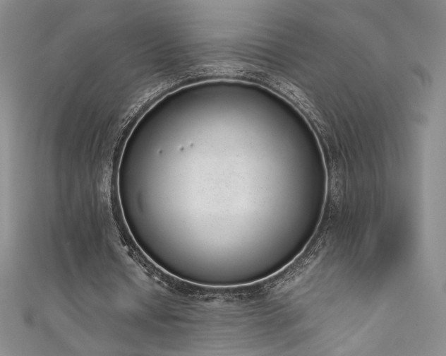 X0000111880434200907231538