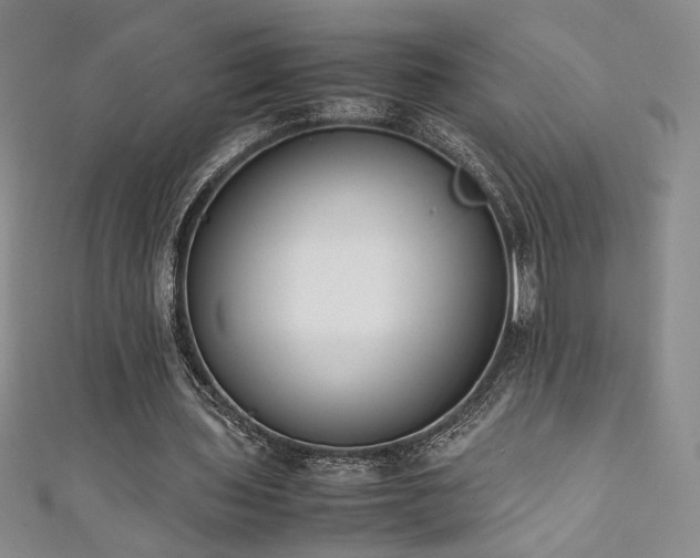 X0000111880435200907231538