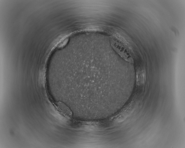 X0000111880436200907231538