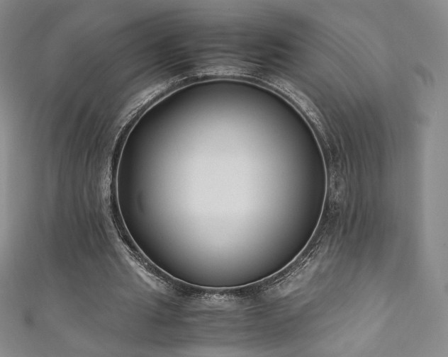 X0000111880437200907231538