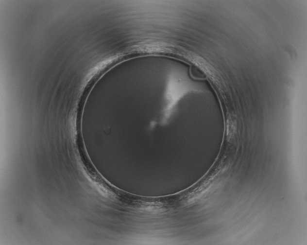 X0000111880438200907231538