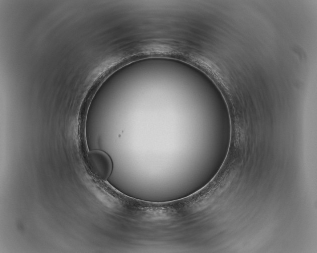X0000111880439200907231538
