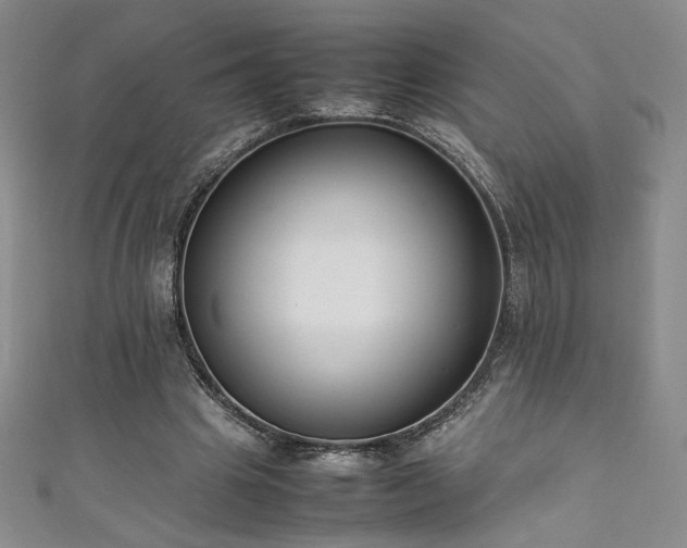 X0000111880441200907231538