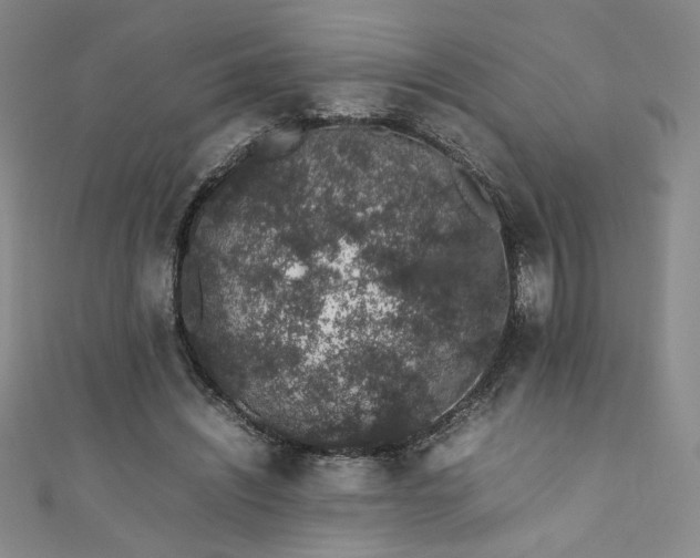 X0000111880444200907231538