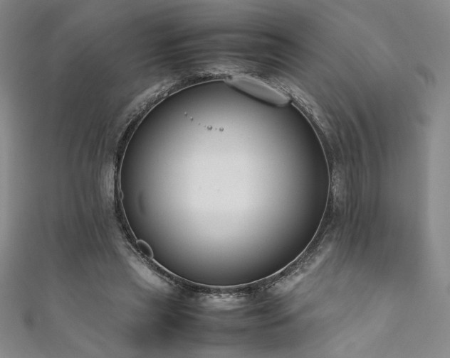 X0000111880445200907231538