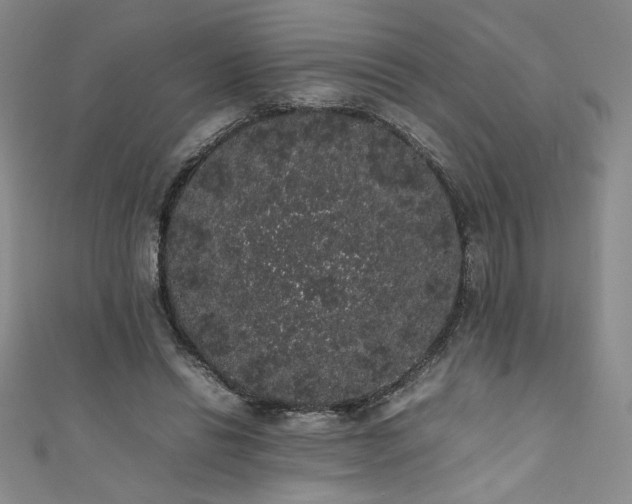 X0000111880446200907231538