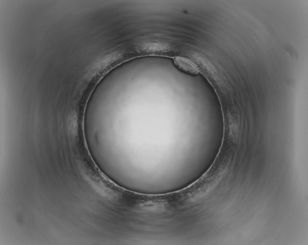 X0000111880447200907231538