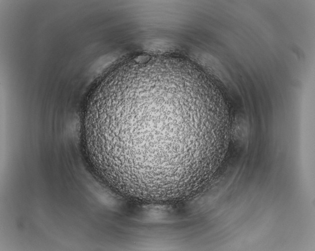 X0000111880448200907231538