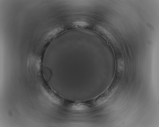 X0000111880451200907231538