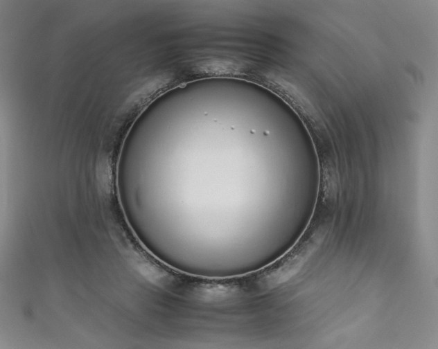 X0000111880453200907231538