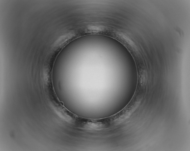 X0000111880455200907231538