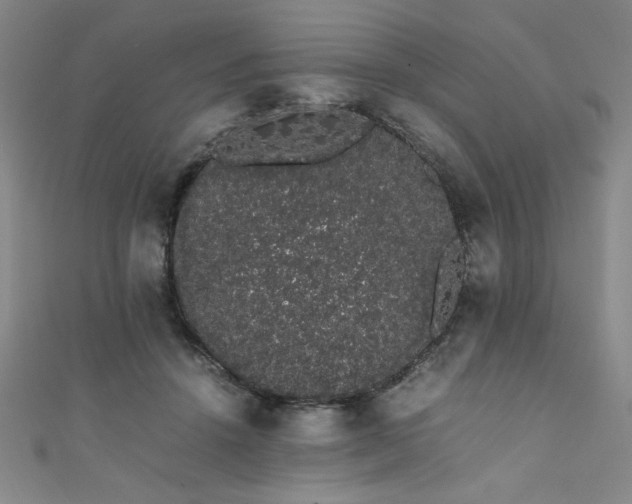 X0000111880456200907231538